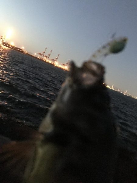 スーパーボウルでメバル